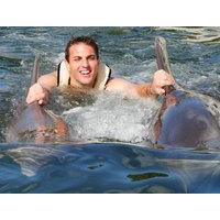 Swim With Dolphins Miami
