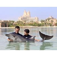 Swimming With Dolphins at Atlantis The Palm