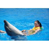 Swim with Dolphins for 15 Minutes in Sharm el Sheikh