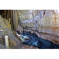 Swimming and Caving in Cova des ...