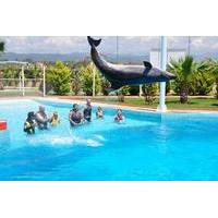 Swim with Dolphins at Sealanya Dolphinpark