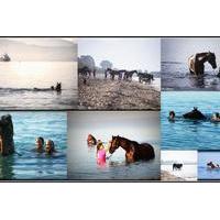 Swim with a Horse in Kalamata