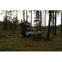 Swedish Wilderness Adventure for Families and Groups