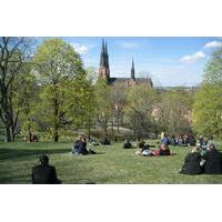 Swedish Lifestyle and Private Walking Tour of Uppsala