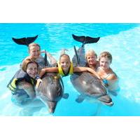 Swim with Dolphins in Sharm el Sheikh