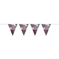 Sweet 16th Bunting Flags Party 10mtr