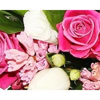 Sweet Scent of Success