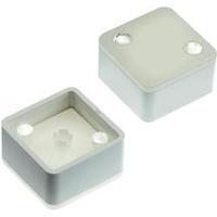 Switch cap White (diffuse) Mentor 2271.1216 1 pc(s)