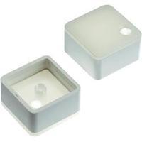 switch cap white diffuse mentor 22711115 1 pcs