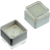 Switch cap White (diffuse) Mentor 2271.4010 1 pc(s)