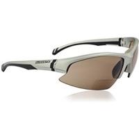 Swiss Eye Flash Bifo (silver matt/bifocal brown + bifocal clear)