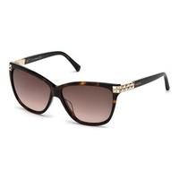 swarovski sunglasses sk 0137 52f