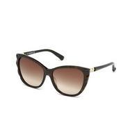 Swarovski Sunglasses SK 0117 52F