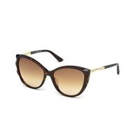 Swarovski Sunglasses SK 0107 52F