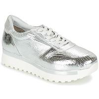 Sweet Lemon PACITI women\'s Casual Shoes in Silver