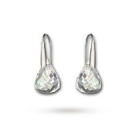 SWAROVSKI Jewellery Ladies\' Stainless Steel Lunar Earrings