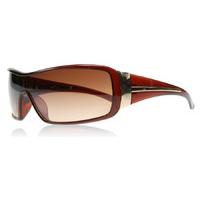 sxuc eminent sunglasses brown 2762 75mm