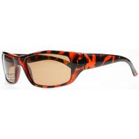 SXUC Carter Sunglasses Tortoise 9887 Polariserade