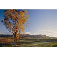 sydney combo deluxe hunter valley wineries and wilderness small group  ...
