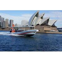 sydney harbour blast high speed boat adventure