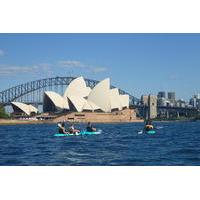 Sydney Harbour Highlights Kayak Tour