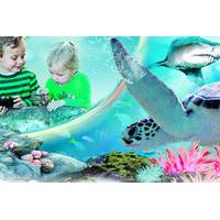 sydney attractions pass sea life aquarium sydney tower eye wild life z ...