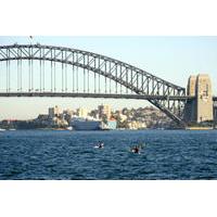 Sydney Harbour Kayak Tours