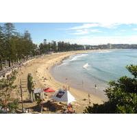 sydney manly and northern beaches morning tour with optional harbour l ...