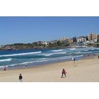 Sydney: Bondi Beach and Kings Cross Tour plus Sydney Harbour Lunch Cruise
