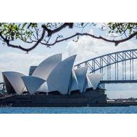 Sydney Landscapes and Travel Photography Guided Walking Tour