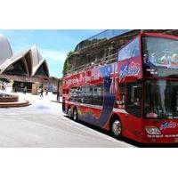 sydney combo hop on hop off harbor cruise and hop on hop off city bus  ...