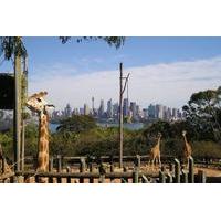 Sydney Taronga Zoo\'s Australian Animals Tour