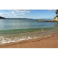 Sydney\'s Northern Beaches and Ku-ring-gai National Park Small-Group Sightseeing Tour