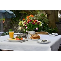 Sydney Harbour Bed & Breakfast