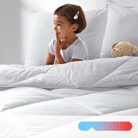 Synthetic Anti-Bacterial, Anti-Dust Mite and Anti-Mould Duvet