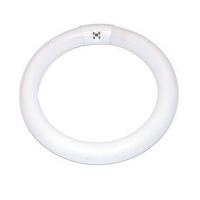 Sylvania Daylight T9 Circular Fluorescent Tube 32W - 0001965