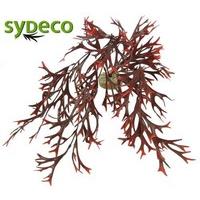 Sydeco Natural Plants (Aquarium/Fish Tank Decor) - Water Fern Flexible » 58cm