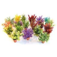 Sydeco Decor Aquaplant Mixed Small In Pot 15cm (Pack of 24)