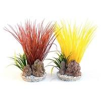 sydeco coloured plants with rocks acorus colour rock 25cm pack of 8