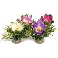 Sydeco Coloured Plants Lotus Flower 17cm (Pack of 6)