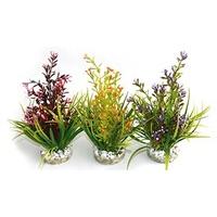 sydeco natural plants flowering plant 18cm pack of 6