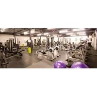 Synergy Fitness