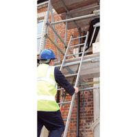 T. B. Davies Summit 5m Class 1 TuffSteel Pole Ladder