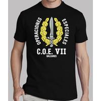 t coe vii mod.1