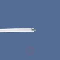 T4 20W standard fluorescent lamp, cool white