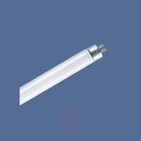 T4 16W standard fluorescent lamp, cool white