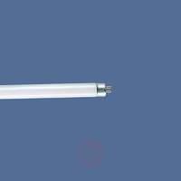 T4 16W standard fluorescent lamp, warm white