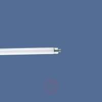 T4 30W Standard fluorescent lamp Cool White