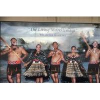 Tauranga Shore Excursion: Rotorua Highlights Including Cultural Performance and Gondola Ride
