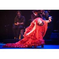 Tapas and Wine Walking Tour with Flamenco Experience